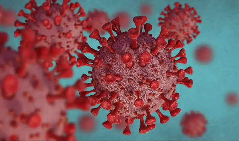 Conoce más sobre el Coronavirus