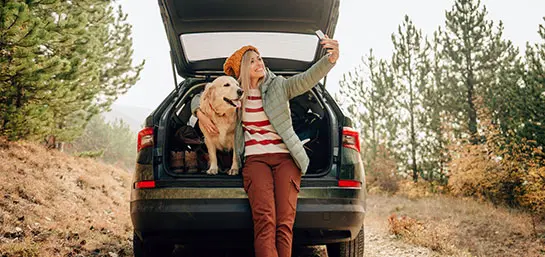 como-quitar-los-pelos-de-perro-o-gato-de-tu-auto